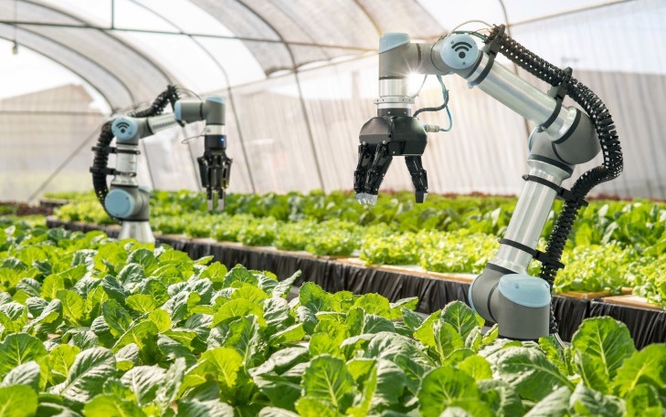 Ứng dụng khoa học – công nghệ vào sản xuất nông nghiệp: Thành tựu, hạn chế và giải pháp tháo gỡ